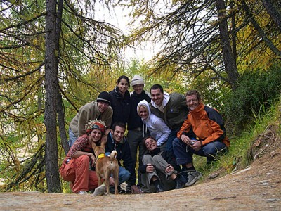 Wichtelmännchen im Fichtenwäldchen