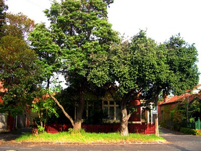Cowderoy Street