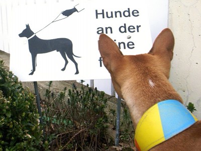 &copy; Schweizer Familie