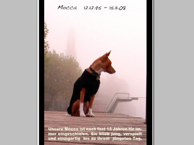 Mocca 12.12.95 - 15.11.08