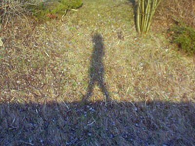 Spaziertag mit Schatten