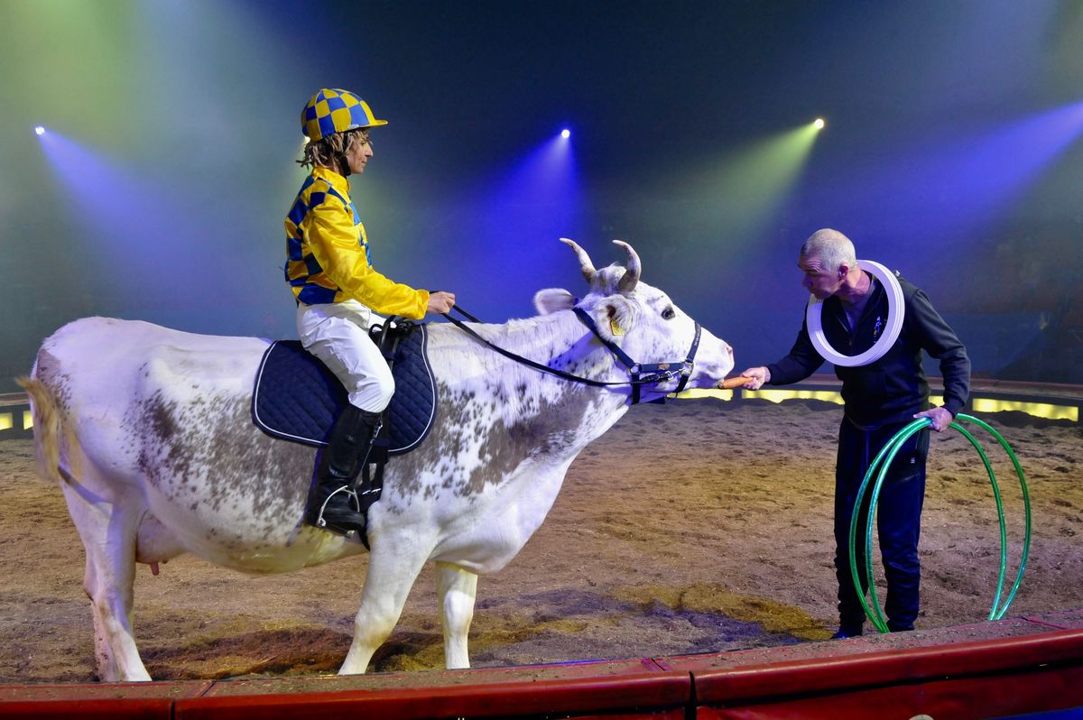 Aus HulaHoop-Nummer wird KuhlaHoop!