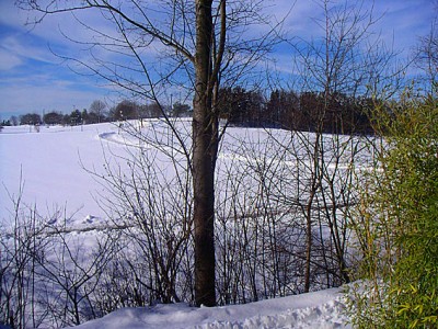 Winterkurort am Bach